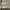 ZARA Minimalist Mini skirt Wanita tan gray photo 3