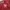 Converse Luxury Sweatshirt Pria red photo 4