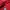Converse Luxury Sweatshirt Pria red photo 6