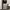 CARGO PANTS WHITE