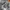 Under Armour Casual Pakaian Nasional Fleece Pria gray photo 5