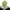 Japanese brand Streetwear Sportswear Windbreaker Wanita green black photo 2