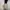 Short Pants Cargo Summer Flower photo 5