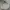 Tommy Hilfiger Streetwear Sweatshirt Pria white photo 1