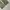 CARGO PANTS ARMY MULTIPOCKET photo 6