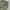 CARGO PANTS ARMY MULTIPOCKET photo 5