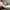 Vans photo 6