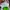 Asics Gel Kahana 8 photo 8