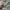 Vintage White Lace Bolero – Floral Crochet Detail photo 2