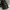 Balenciaga city dark brown photo 2