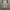 Jersey Man United Away 10/11 Original photo 2