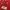 Jersey Man United Home 11/12 Original photo 3