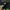 Longslive Undefeated photo 2