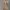 lace paisley puff sleeves top, y2k, grunge, sawako outfit photo 4