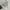 ZARA Grunge Skater Cami top Wanita white photo 3