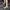 SALOMON XT 6 GTX MARTINI OLIVE , SALOMON XT 6 MARTINI , SALO photo 10