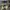 SALOMON XT 6 GTX MARTINI OLIVE , SALOMON XT 6 MARTINI , SALO photo 4