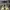 SALOMON XT 6 GTX MARTINI OLIVE , SALOMON XT 6 MARTINI , SALO photo 2