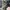 SALOMON XT 6 GTX MARTINI OLIVE , SALOMON XT 6 MARTINI , SALO photo 6
