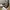 Converse Chuck Taylor All Star HI Unisex Sneakers photo 2