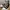 Converse Chuck Taylor All Star HI Unisex Sneakers