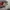 CREWNECK KIRSH BIG CHERRY LOGO photo 3