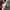 Global Work French Linen blend Open colar Boxy fit shirt sho photo 8