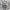 Global Work French Linen blend Open colar Boxy fit shirt sho photo 5