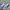 Nike Streetwear Sportswear Sneakers Pria white black photo 1