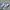 Nike Streetwear Sportswear Sneakers Pria White Black