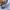 Nike Streetwear Sportswear Sneakers Pria white black photo 2