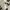 H&M Y2K Avant Garde Blouse Wanita black cream photo 3
