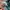 Fjallraven Kanken Frost Green Chess Pattern ada slot laptop photo 9