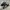 Adidas Streetwear Sneakers Pria black photo 1