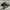Adidas Streetwear Sneakers Pria Black