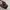 Vintage Coach Monogram Signature  photo 3