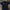 Dickies Streetwear Casual Casual shirt Pria navy photo 1