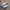 Adidas Casual Sneakers Wanita gold white photo 1