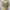Vintage Yellow Floral Summer Midi Dress photo 4