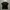 T-shirt Philipp Plein Bear Sworsky warna hitam photo 4