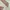 lolita soft pink dress cosplay ruffle umpak  photo 6