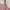 lolita soft pink dress cosplay ruffle umpak  photo 4