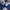 Tommy Hilfiger Streetwear Sweatshirt Pria navy photo 2