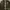 army photo 3