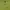 Jersey Kolombia Homr 2018/2019 photo 3