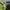 Jersey Kolombia Homr 2018/2019 photo 4