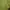 Jersey Kolombia Homr 2018/2019 photo 6