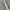 Japanese brand Y2K Grunge Belt Pria white photo 6