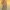 Vintage Coquette Midi dress Wanita photo 1