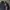 DIESEL  VEST & JACKET | OUTERWEAR | GS  photo 4